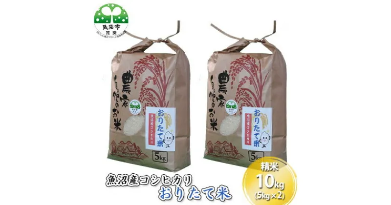 【ふるさと納税】令和6年産 魚沼産コシヒカリ おりたて米 （精米）10kg（5kg×2）　お米・コシヒカリ・お米　お届け：寄附入金確認後、随時発送