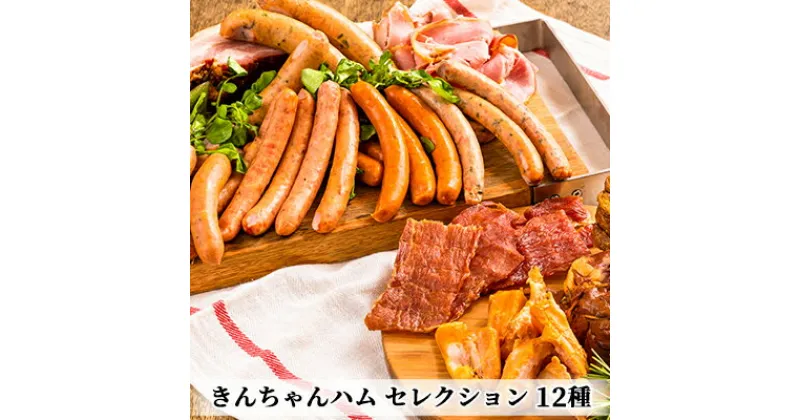 【ふるさと納税】きんちゃんハム セレクション　ハム・お肉・ソーセージ