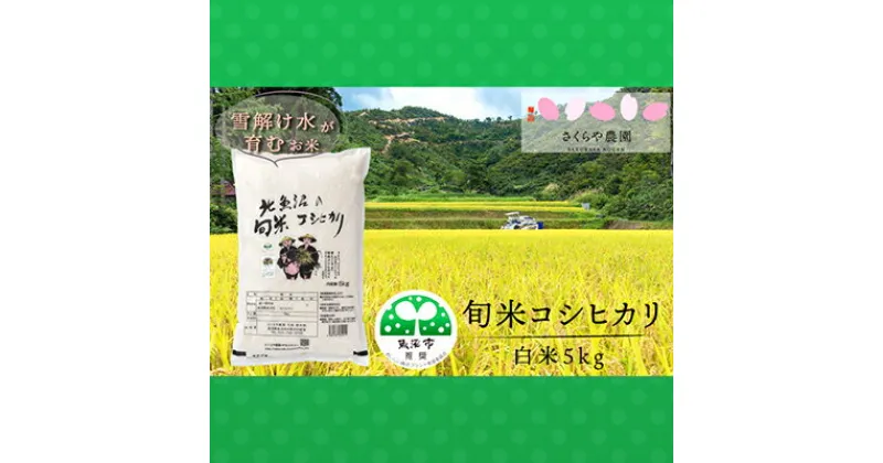 【ふるさと納税】令和6年産 魚沼産コシヒカリ 北魚沼の旬米コシヒカリ 精米5kg　お米・コシヒカリ　お届け：寄附確認後、随時発送