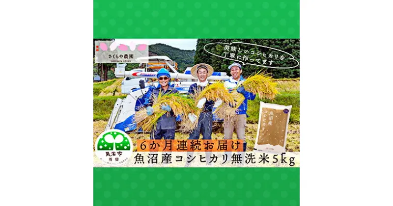 【ふるさと納税】【定期便】さくらや農園 魚沼産コシヒカリ 無洗米5kg　6ヶ月連続お届け　定期便・お米・コシヒカリ　お届け：寄附確認月の翌月から発送