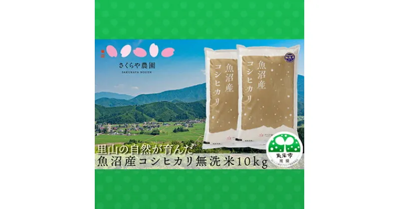 【ふるさと納税】令和6年産 さくらや農園 魚沼産コシヒカリ 無洗米10kg（5kg×2袋）　お米・コシヒカリ　お届け：寄附確認後、随時発送