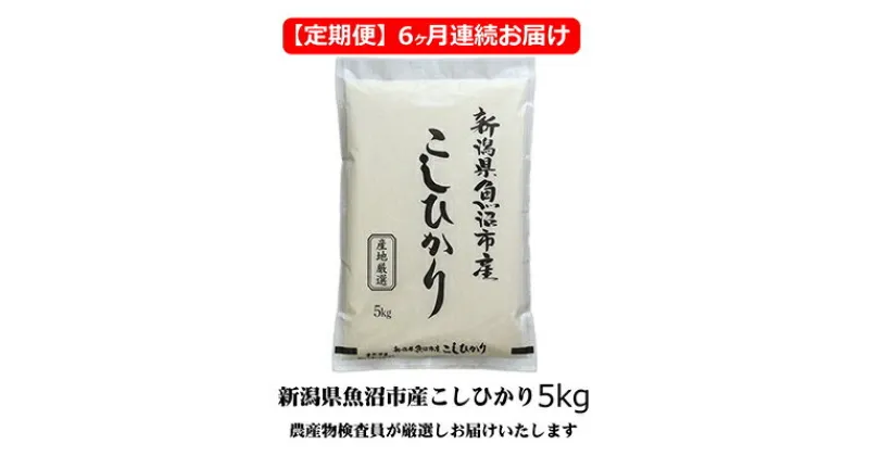 【ふるさと納税】農産物検査員お奨め 魚沼産こしひかり （精米） 5kg 6ヶ月 連続お届け （ 米 定期便 コシヒカリ 魚沼産 精米 白米 お米 こめ コメ こしひかり 魚沼 半年 6回 お楽しみ ）　定期便・ 魚沼市 　お届け：寄附入金月の翌月より発送