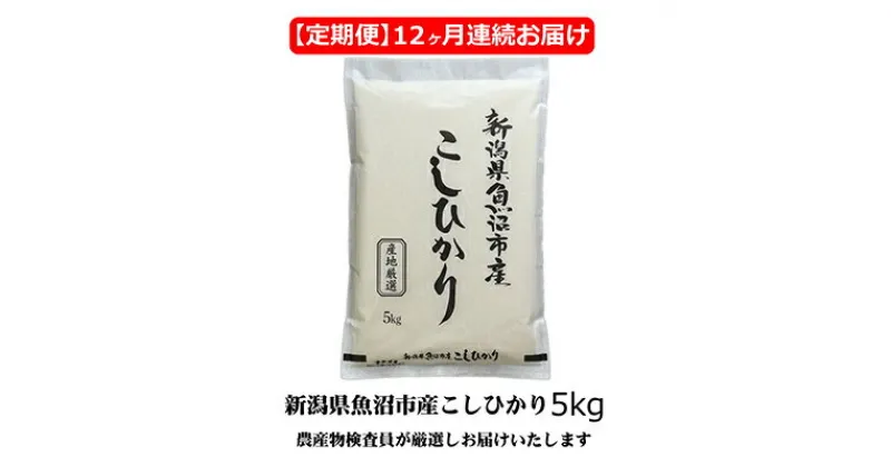 【ふるさと納税】農産物検査員お奨め 魚沼産 こしひかり 精米 5kg 12ヶ月 連続お届け （ 米 定期便 コシヒカリ お米 定期 新潟 魚沼 魚沼産コシヒカリ 魚沼産こしひかり こめ コメ おこめ 白米 お楽しみ 12回 ）　定期便・ 新潟県 魚沼市 　お届け：寄附入金月の翌月より発送