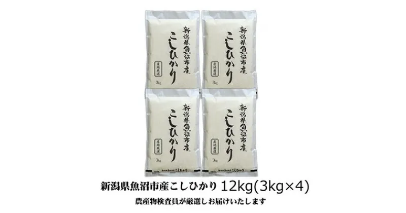 【ふるさと納税】令和6年産 農産物検査員お奨め 魚沼産こしひかり（精米）12kg（3kg×4）　お米・コシヒカリ　お届け：10月より順次発送