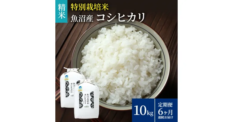 【ふるさと納税】定期便 6ヶ月 連続お届け 特別栽培米 魚沼産コシヒカリ（精米）10kg　定期便・お米・コシヒカリ・特別栽培米・魚沼産・6ヶ月・6回・半年　お届け：寄附入金月の翌月から発送