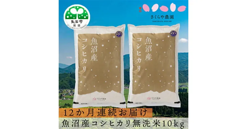 【ふるさと納税】【定期便】さくらや農園 魚沼産コシヒカリ 無洗米10kg（5kg×2）12か月連続お届け　定期便・お米・コシヒカリ・米・無洗米　お届け：寄附確認月の翌月から発送