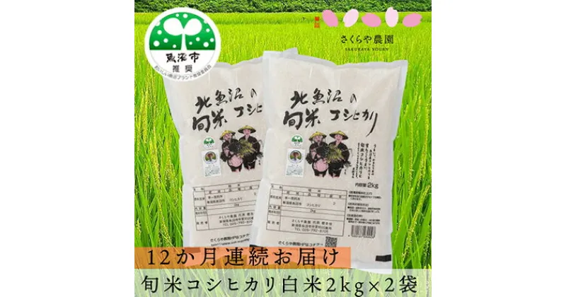 【ふるさと納税】【定期便】北魚沼の旬米コシヒカリ（精米）4kg（2kg×2袋）12か月連続お届け　定期便・お米・コシヒカリ　お届け：寄附確認月の翌月から発送