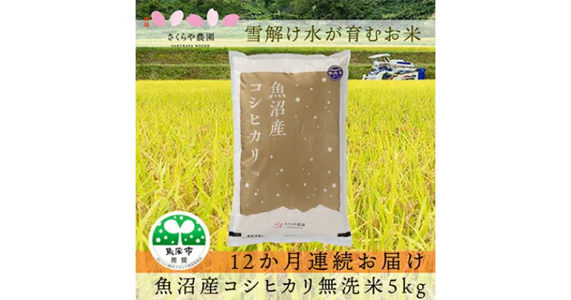 【ふるさと納税】【定期便】さくらや農園 魚沼産コシヒカリ 無洗米5kg　12か月連続お届け　定期便・お米・コシヒカリ・米・無洗米　お届け：寄附確認月の翌月から発送