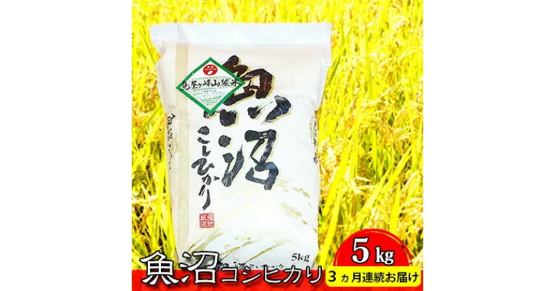 【ふるさと納税】魚沼コシヒカリ　鳥屋ヶ峰山麓米（精米）5kg　3ヶ月連続お届け　定期便・お米・コシヒカリ・新潟県産　お届け：寄附確認月の翌月より発送