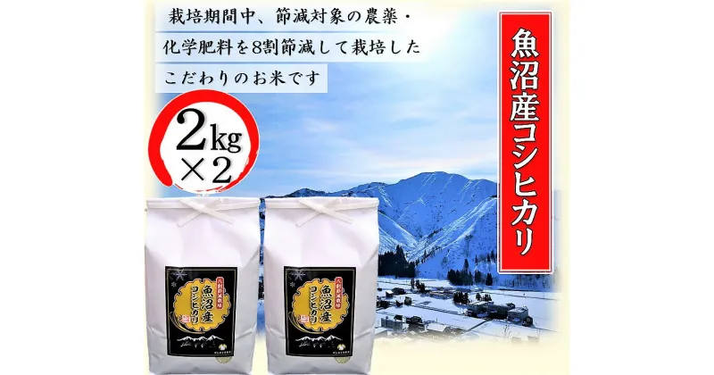 【ふるさと納税】令和6年産 安心・おいしい！【8割節減栽培】魚沼産コシヒカリ 精米 4kg（2kg×2）　お米・コシヒカリ・新潟県産　お届け：10月上旬より順次発送