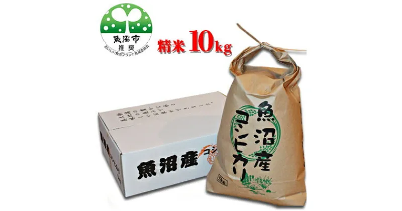 【ふるさと納税】【令和6年産】【農薬・化学肥料栽培期間中不使用・生態系保全・再生可能エネルギー・エコファーマー・生産工程管理】魚沼産コシヒカリ（精米・10kg）　お米・コシヒカリ　お届け：寄附確認後、10月より随時発送