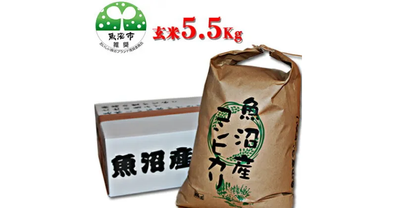 【ふるさと納税】【令和6年産】【有機栽培・生態系保全・再生可能エネルギー・エコファーマー・生産工程管理】魚沼産コシヒカリ（玄米・5.5kg）　お米・コシヒカリ・玄米・お米　お届け：寄附確認後、10月より随時発送