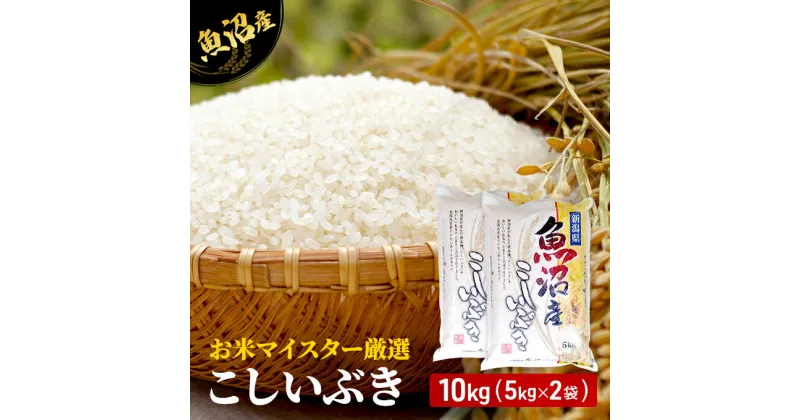 【ふるさと納税】令和6年産 お米マイスター厳選 魚沼産 こしいぶき 100％ 10kg ( 5kg × 2袋 )（ 米 魚沼 新潟 お米 こめ コメ おこめ 白米 良食味品種 安心安全 10キロ ）　 新潟県 魚沼市 　お届け：9月下旬以降新米発送発送の目安：入金確認から2週間程度