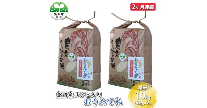 【ふるさと納税】【定期便】魚沼産コシヒカリ おりたて米 精米10kg（5kg×2） 2ヶ月連続　定期便・お米・コシヒカリ・魚沼産・2ヶ月・2回・米　お届け：寄附入金月の翌月から発送