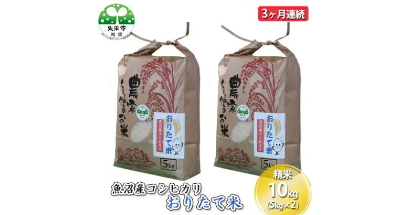 【ふるさと納税】【定期便】魚沼産コシヒカリ おりたて米 精米10kg（5kg×2）3ヶ月連続　定期便・お米・コシヒカリ・魚沼産・3カ月・3回・米　お届け：寄附入金月の翌月から発送