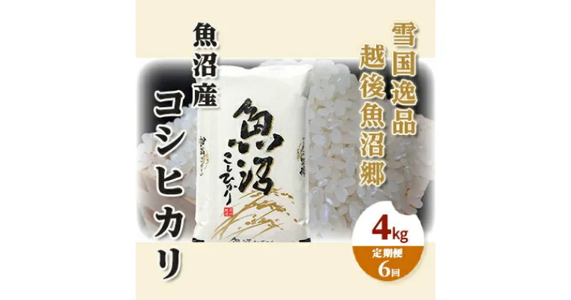 【ふるさと納税】【定期便：雪国逸品 精米4kg×6ヶ月】越後魚沼郷 魚沼産コシヒカリ　定期便・ お米 人 自然調和 ミネラル 奇跡 自然環境 努カ 香り つや 粘り 極上 　お届け：寄附入金月の翌月から発送