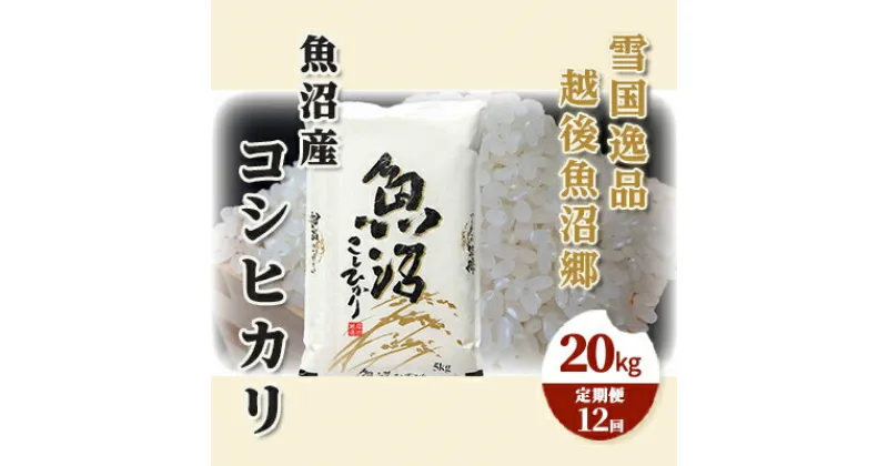 【ふるさと納税】【定期便：雪国逸品 精米20kg×12ヶ月】越後魚沼郷 魚沼産コシヒカリ　定期便・ お米 人 自然調和 ミネラル 奇跡 自然環境 努カ 香り つや 粘り 極上 　お届け：寄附入金月の翌月から発送