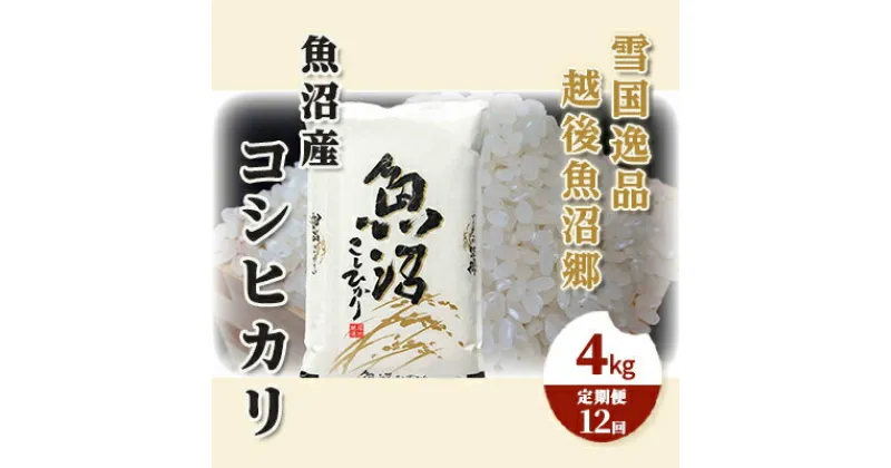 【ふるさと納税】【定期便：雪国逸品 精米4kg×12ヶ月】越後魚沼郷 魚沼産コシヒカリ　定期便・ お米 人 自然調和 ミネラル 奇跡 自然環境 努カ 香り つや 粘り 極上 　お届け：寄附入金月の翌月から発送