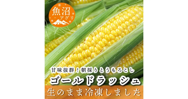 【ふるさと納税】魚沼産 冷凍生とうもろこしと冷凍粒とうもろこしのセット　 野菜 国産 日本産 簡単 便利 コーン 冷凍コーン ゴールドラッシュ 新潟県産 食材 食べ物 直送 産地直送