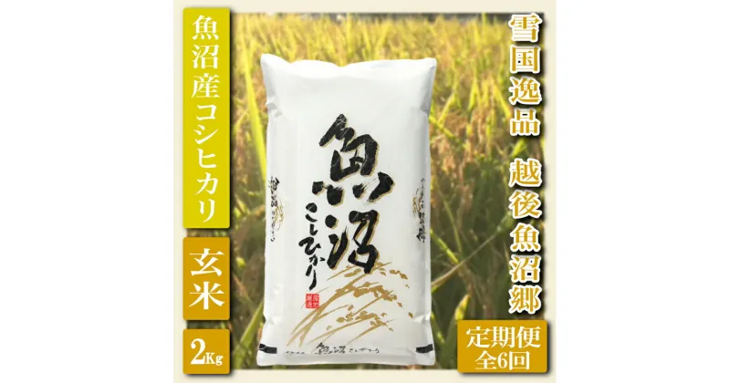 【ふるさと納税】【定期便：雪国逸品 玄米2Kg×6ヶ月】越後魚沼郷 魚沼産コシヒカリ　定期便・ お米 ブランド米 銘柄米 ご飯 おにぎり お弁当 和食 産地直送 香り つや 粘り 　お届け：寄附入金月の翌月から発送