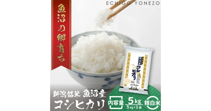 【ふるさと納税】令和6年産 魚沼産コシヒカリ（精米）5kg　 お米 白米 ご飯 ブランド米 銘柄米 ご飯 おにぎり お弁当 和食 産地直送 粘り モチっと食感 上品な甘み 　お届け：10月中旬より順次発送致します。