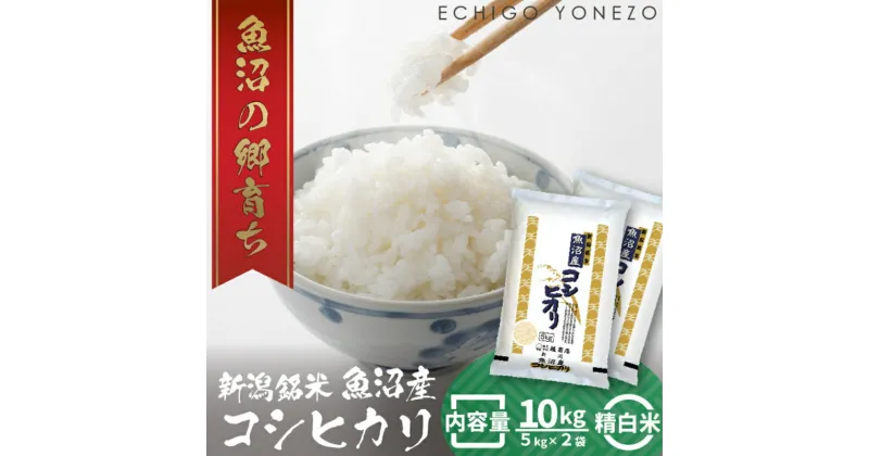 【ふるさと納税】令和6年産 魚沼産コシヒカリ（精米）10kg　 お米 白米 ご飯 ブランド米 銘柄米 ご飯 おにぎり お弁当 和食 産地直送 粘り モチっと食感 上品な甘み 　お届け：10月中旬より順次発送致します。