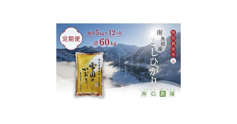 【ふるさと納税】【令和6年産新米予約／令和6年10月上旬より順次発送】【定期便】5kg×12ヶ月　南魚沼産コシヒカリ 井口農場 こだわりの 特別栽培米 | お米 こめ 白米 コシヒカリ 食品 人気 おすすめ 送料無料 魚沼 南魚沼 南魚沼市 新潟県産 新潟県 精米 産直 産地直送