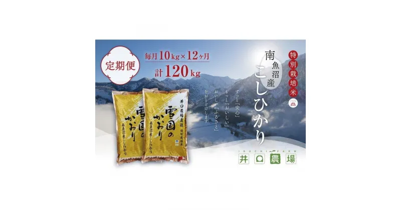 【ふるさと納税】【令和6年産新米予約／令和6年10月上旬より順次発送】【定期便】10kg×12ヶ月　南魚沼産コシヒカリ 井口農場 こだわりの 特別栽培米 | お米 こめ 白米 コシヒカリ 食品 人気 おすすめ 送料無料 魚沼 南魚沼 南魚沼市 新潟県産 新潟県 精米 産直 産地直送