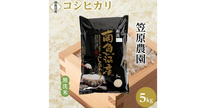 【ふるさと納税】【令和6年産新米予約／令和6年10月上旬より順次発送】南魚沼産コシヒカリ無洗米5kg | 送料無料 コシヒカリ 魚沼 新潟県産 新潟県 南魚沼市 精米 産直 産地直送 お取り寄せ お楽しみ 米 5kg お米 白米 無洗米