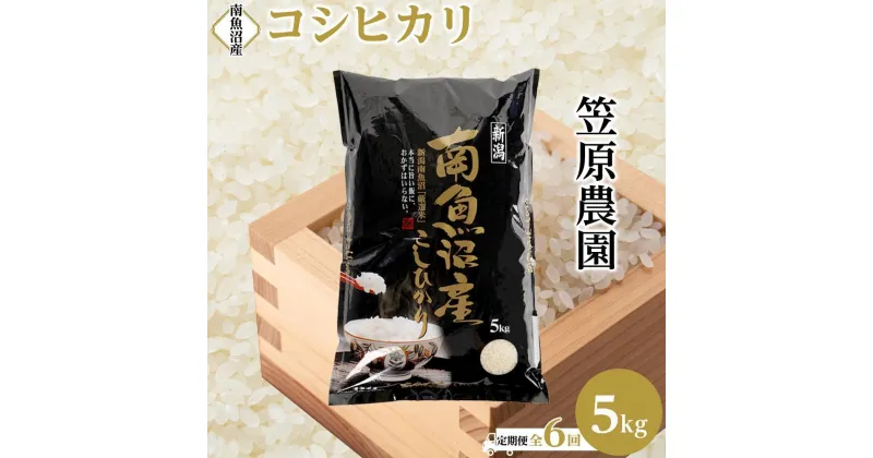 【ふるさと納税】【定期便】【令和6年産新米予約／令和6年10月上旬より順次発送】南魚沼産コシヒカリ【5kg×全6回】（クラウドファンディング対象） | 送料無料 コシヒカリ 魚沼 新潟県産 新潟県 南魚沼市 精米 産直 産地直送 お取り寄せ お楽しみ 定期便 米 30kgお米