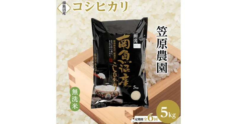 【ふるさと納税】【定期便】【令和6年産新米予約／令和6年10月上旬より順次発送】南魚沼産コシヒカリ無洗米（5kg×全6回） | お米 こめ 白米 コシヒカリ 食品 人気 おすすめ 送料無料 魚沼 南魚沼 南魚沼市 新潟県産 新潟県 精米 産直 産地直送 お取り寄せ