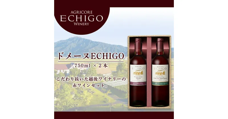 【ふるさと納税】ドメーヌECHIGO　赤ワイン2本セット【カーボン・オフセット対象】 | お酒 さけ 人気 おすすめ 送料無料 ギフト