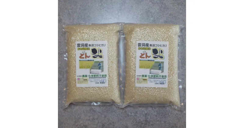 【ふるさと納税】米 コシヒカリ 南魚沼産 4kg ( 2kg × 2袋 ) 雲洞産 「どん米」 真空パック | お米 こめ 白米 コシヒカリ 食品 人気 おすすめ 送料無料 魚沼 南魚沼 南魚沼市 新潟県産 新潟県 精米 産直 産地直送 お取り寄せ