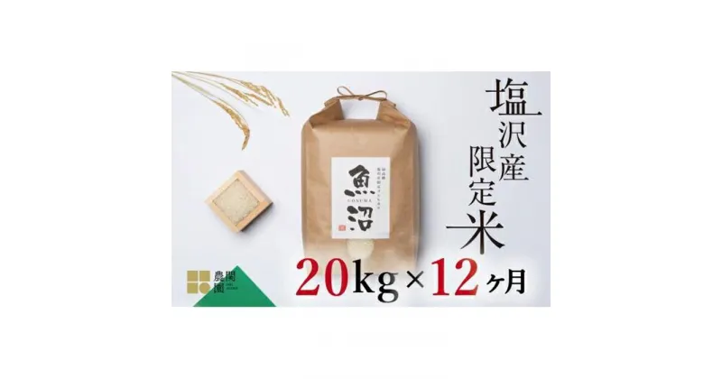 【ふるさと納税】米 定期便 240kg ( 20kg × 12ヶ月 ) お米 旧塩沢地区限定 こしひかり 新潟 南魚沼 魚沼産 南魚沼産 白米 | お米 こめ 白米 コシヒカリ 食品 人気 おすすめ 送料無料 魚沼 南魚沼 南魚沼市 新潟県産 新潟県 精米 産直 産地直送 お取り寄せ