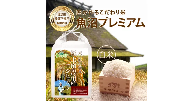 【ふるさと納税】米 コシヒカリ 南魚沼産 5kg 有機肥料 農薬不使用 | お米 こめ 白米 コシヒカリ 食品 人気 おすすめ 送料無料 魚沼 南魚沼 南魚沼市 新潟県産 新潟県 精米 産直 産地直送 お取り寄せ