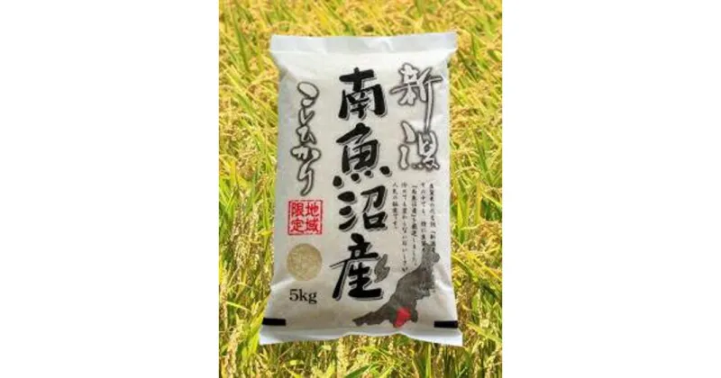 【ふるさと納税】【南魚沼産】コシヒカリ　5kg | お米 こめ 白米 コシヒカリ 食品 人気 おすすめ 送料無料 魚沼 南魚沼 南魚沼市 新潟県産 新潟県 精米 産直 産地直送 お取り寄せ