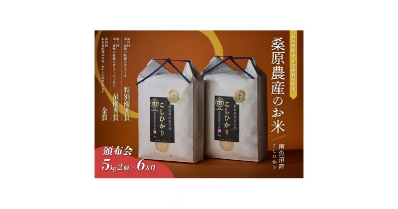 【ふるさと納税】米 定期便 コシヒカリ 南魚沼産 60kg ( 10kg × 6ヵ月 ) 桑原農産 | お米 こめ 白米 コシヒカリ 食品 人気 おすすめ 送料無料 魚沼 南魚沼 南魚沼市 新潟県産 新潟県 精米 産直 産地直送 お取り寄せ お楽しみ