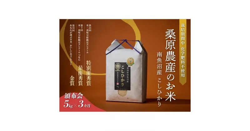 【ふるさと納税】米 定期便 コシヒカリ 南魚沼産 15kg ( 5kg × 3ヶ月 ) 桑原農産 | お米 こめ 白米 コシヒカリ 食品 人気 おすすめ 送料無料 魚沼 南魚沼 南魚沼市 新潟県産 新潟県 精米 産直 産地直送 お取り寄せ お楽しみ