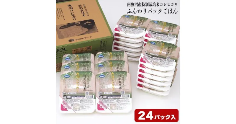 【ふるさと納税】パックご飯 米 200g × 24個 | お米 こめ 白米 食品 人気 おすすめ 送料無料 魚沼 南魚沼 南魚沼市 新潟県 精米 産直 産地直送 お取り寄せ