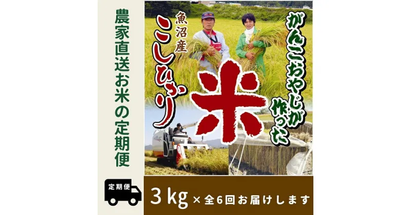 【ふるさと納税】【特別栽培米】6か月定期便　がんこおやじが作った南魚沼産コシヒカリ白米3kg | お米 こめ 白米 コシヒカリ 食品 人気 おすすめ 送料無料 魚沼 南魚沼 南魚沼市 新潟県産 新潟県 精米 産直 産地直送 お取り寄せ