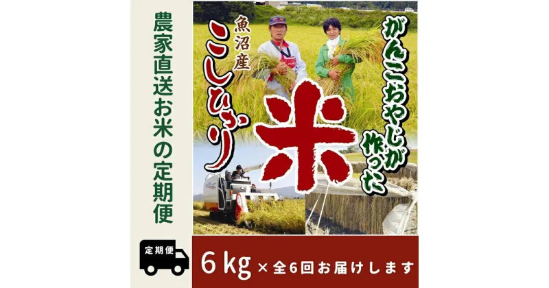 【ふるさと納税】【特別栽培米】6か月定期便　がんこおやじが作った南魚沼産コシヒカリ白米6kg（3kg×2袋） | お米 こめ 白米 コシヒカリ 食品 人気 おすすめ 送料無料 魚沼 南魚沼 南魚沼市 新潟県産 新潟県 精米 産地直送