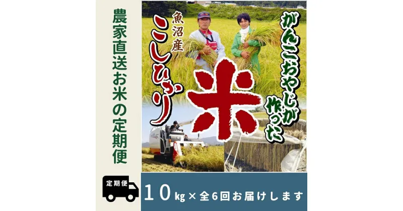 【ふるさと納税】【特別栽培米】6か月定期便　がんこおやじが作った南魚沼産コシヒカリ白米10kg（5kg×2袋） | お米 こめ 白米 コシヒカリ 食品 人気 おすすめ 送料無料 魚沼 南魚沼 南魚沼市 新潟県産 新潟県 精米 産地直送