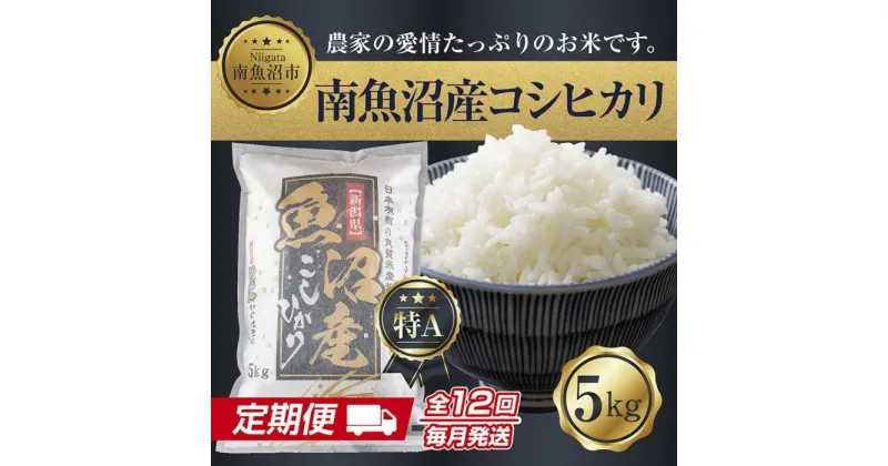 【ふるさと納税】【定期便】新潟県 南魚沼産 コシヒカリ お米 5kg 計12回 精米 魚沼 米 こしひかり 送料無料 年間 毎月発送 炊き方ガイド付き | お米 こめ 白米 コシヒカリ 食品 人気 おすすめ 送料無料 魚沼 南魚沼 南魚沼市 新潟県産 新潟県 精米