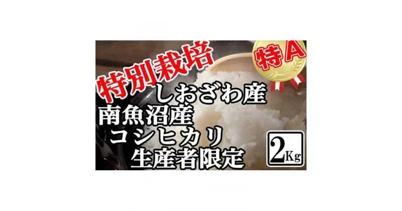 【ふるさと納税】米 コシヒカリ 南魚沼しおざわ産 2kg 特別栽培 | お米 こめ 白米 コシヒカリ 食品 人気 おすすめ 送料無料 魚沼 南魚沼 南魚沼市 新潟県産 新潟県 精米 産直 産地直送 お取り寄せ