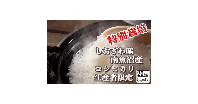 【ふるさと納税】米 コシヒカリ 南魚沼しおざわ産 20kg ( 5kg × 4袋 ) 特別栽培 | お米 こめ 白米 コシヒカリ 食品 人気 おすすめ 送料無料 魚沼 南魚沼 南魚沼市 新潟県産 新潟県 精米 産直 産地直送 お取り寄せ