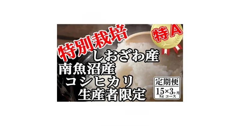 【ふるさと納税】米 定期便 コシヒカリ 南魚沼しおざわ産 45kg ( 15kg × 3ヶ月 ) 特別栽培 | お米 こめ 白米 コシヒカリ 食品 人気 おすすめ 送料無料 魚沼 南魚沼 南魚沼市 新潟県産 新潟県 精米 産直 産地直送 お取り寄せ お楽しみ