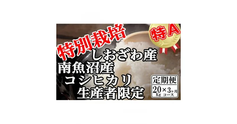 【ふるさと納税】米 定期便 コシヒカリ 南魚沼しおざわ産 60kg ( 20kg × 3ヶ月 ) 特別栽培 | お米 こめ 白米 コシヒカリ 食品 人気 おすすめ 送料無料 魚沼 南魚沼 南魚沼市 新潟県産 新潟県 精米 産直 産地直送 お取り寄せ お楽しみ