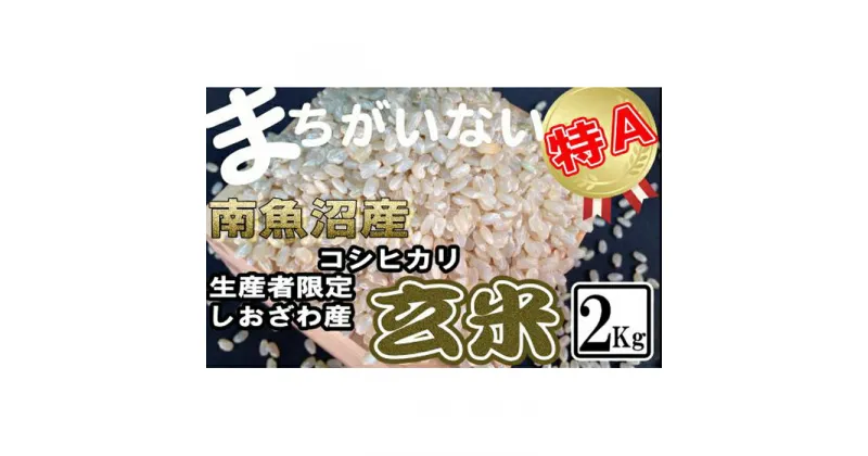 【ふるさと納税】米 玄米 コシヒカリ 南魚沼しおざわ産 2kg | お米 こめ 食品 コシヒカリ 人気 おすすめ 送料無料 魚沼 南魚沼 南魚沼市 新潟県 玄米 産直 産地直送 お取り寄せ