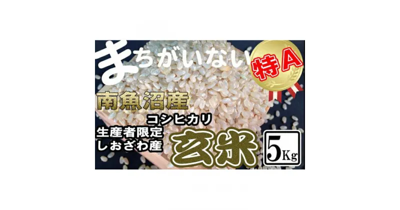 【ふるさと納税】米 玄米 コシヒカリ 南魚沼しおざわ産 5kg | お米 こめ 食品 コシヒカリ 人気 おすすめ 送料無料 魚沼 南魚沼 南魚沼市 新潟県 玄米 産直 産地直送 お取り寄せ