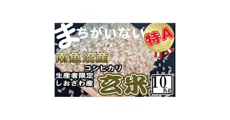 【ふるさと納税】米 玄米 コシヒカリ 南魚沼しおざわ産 10kg | お米 こめ 食品 コシヒカリ 人気 おすすめ 送料無料 魚沼 南魚沼 南魚沼市 新潟県 玄米 産直 産地直送 お取り寄せ